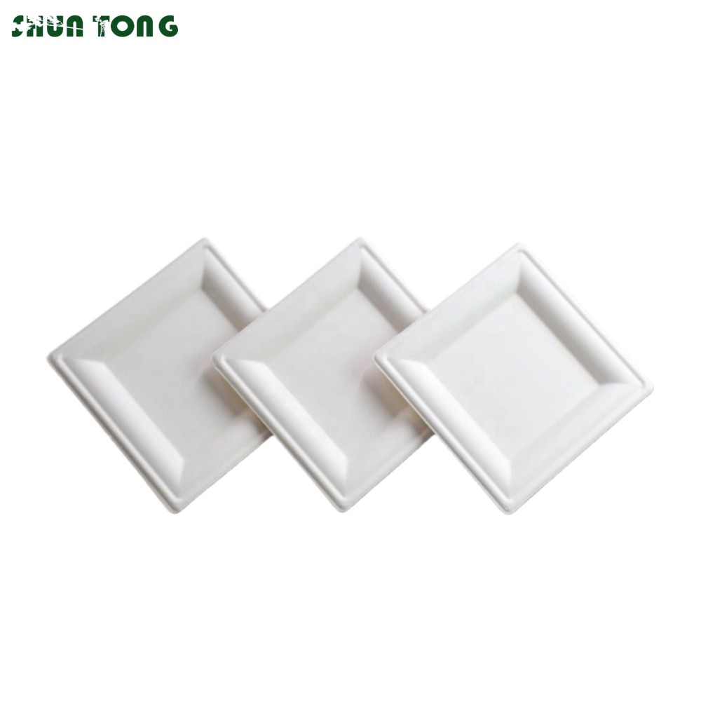 Bagasse Disposable Plate